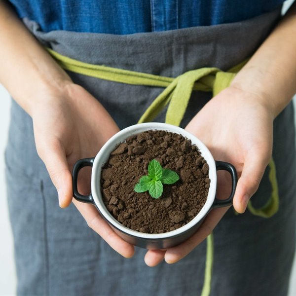 biopack el envase que luego se puede plantar.