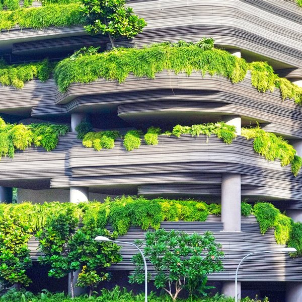 Diseño biofílico la tendencia más verde para tu casa