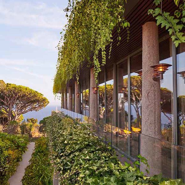 Jardines verticales: por qué los MUROS VERDES deberían ‘conquistar’ nuestras ciudades