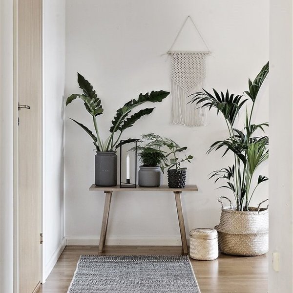 Feng shui desde la entrada de casa: por qué es importante el recibidor en 5 pasos