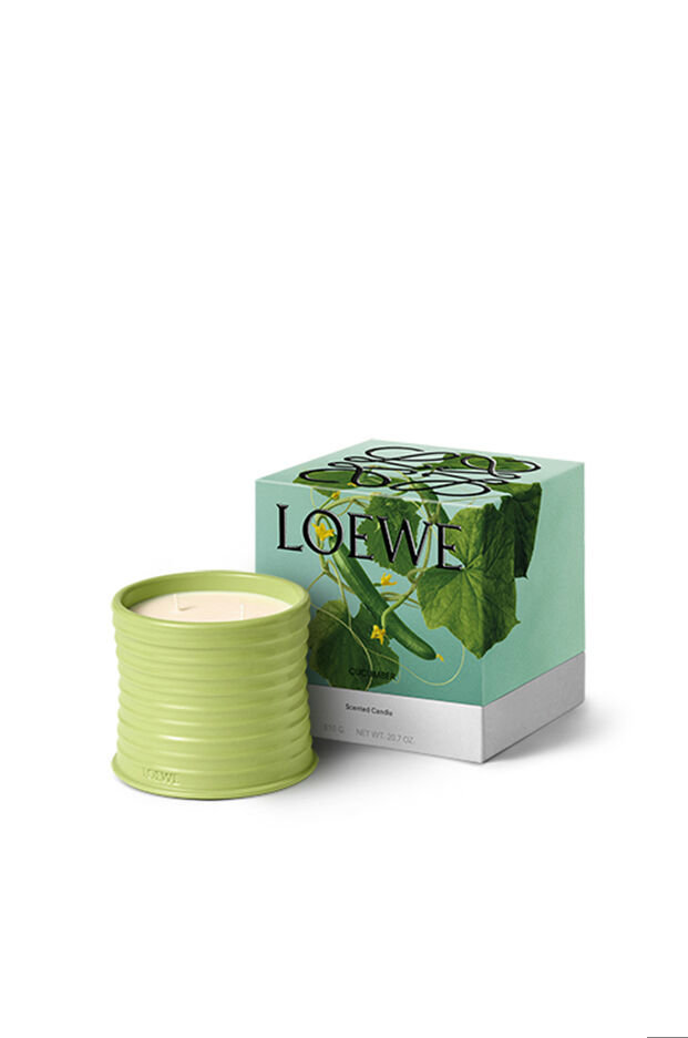 Vela Cucumber Loewe