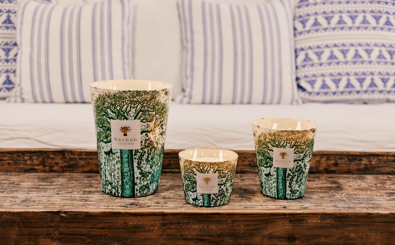 Velas Baobab Collection