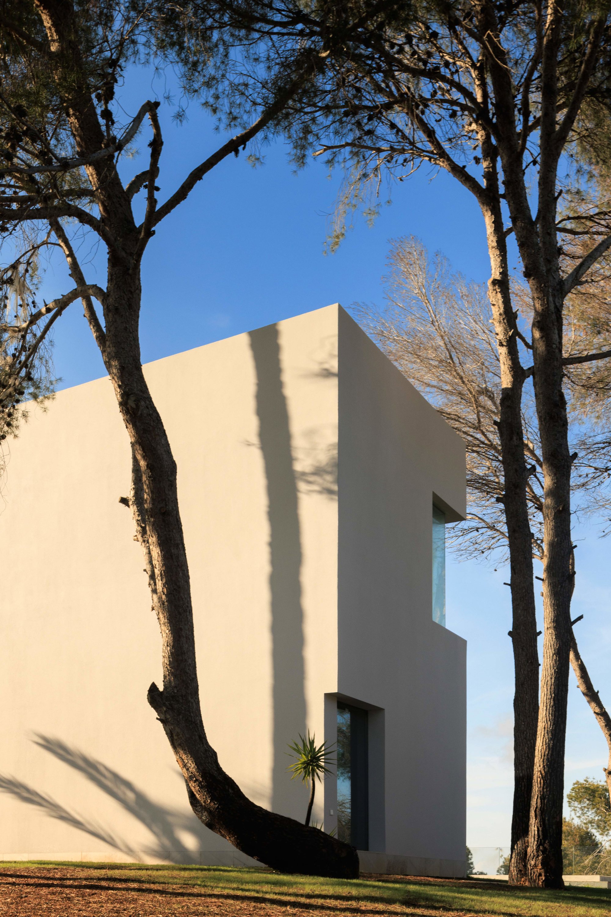 Vivienda escultura